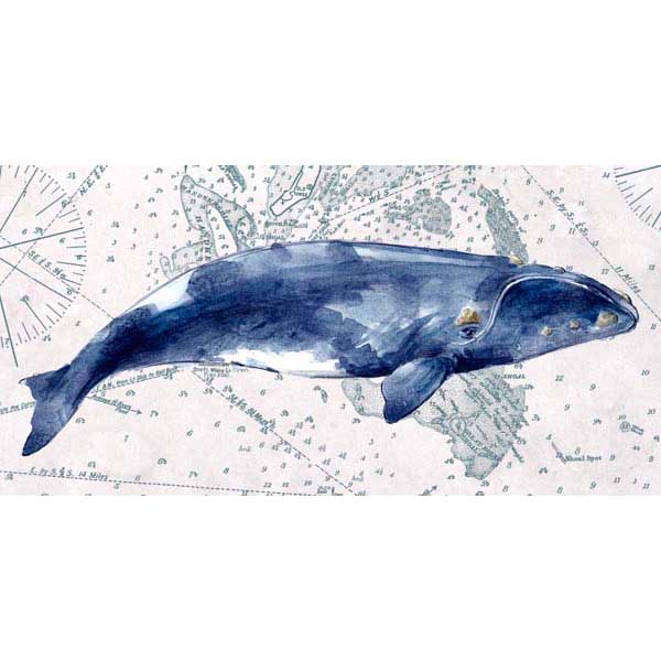 Deep Sea | Nautical Map | Whale I | Canvas Print | Wall Art