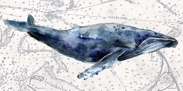 Deep Sea | Nautical Map | Whale II | Canvas Print | Wall Art