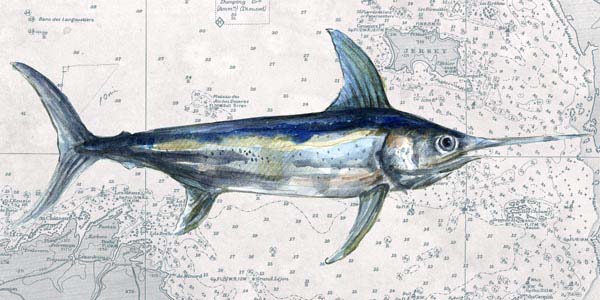 Deep Sea | Nautical Map | Swordfish | Canvas Print | Wall Art
