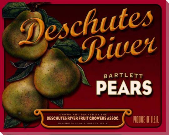 Bartlett Pears | Deschutes River | Vintage Ad | Kitchen | Canvas Print