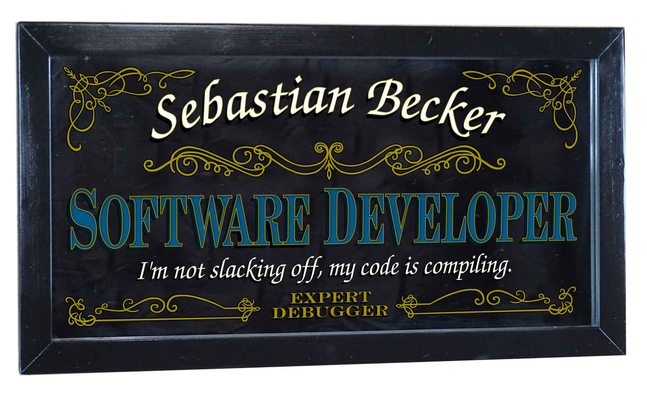 Software Developer | Mirror | Occupation | Framed | Personalize It! | 12" x 26"