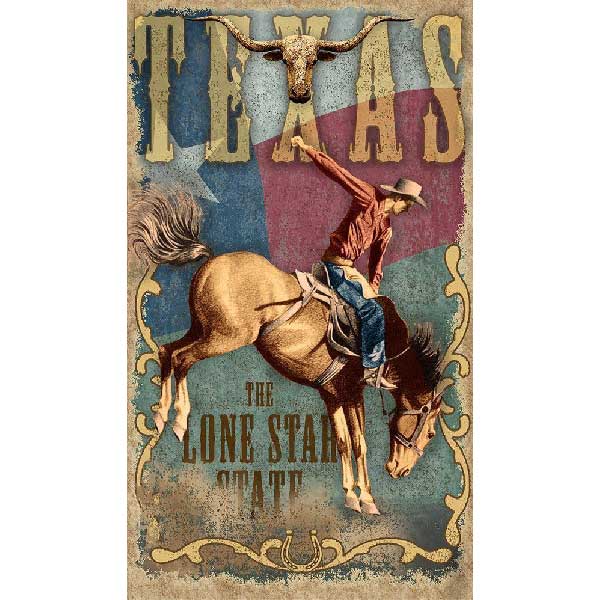 wall decor with bucking horse with cowboy; Texas flag
