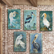Collection of artist Anthony Morrow's bird paintings on a brick wall