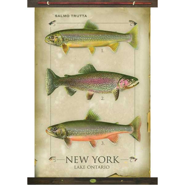 Lake Ontario, New York canvas tapestry of lake trout. Worn and vintage look