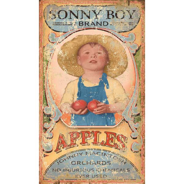 Apples; sonny boy holding apples  from jonny macintosh orchards