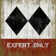 Vintage wood sign with two black diamonds and text "Expert Only"
