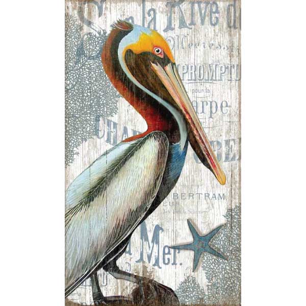 Colorful coastal wall art of pelican with sea; French words. Vintage wall decor