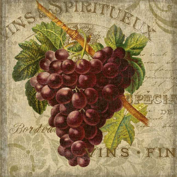 Art with red grapes and vintage wine text in background
