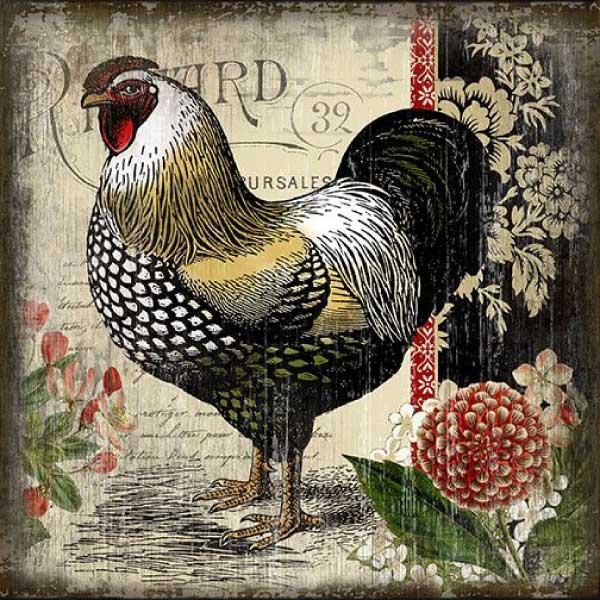 Farmhouse | Rooster II | Wood Wall Art | Suzanne Nicoll | 20" x 20"