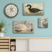 Beautiful collection of coastal bird images; goose, swan, Heron